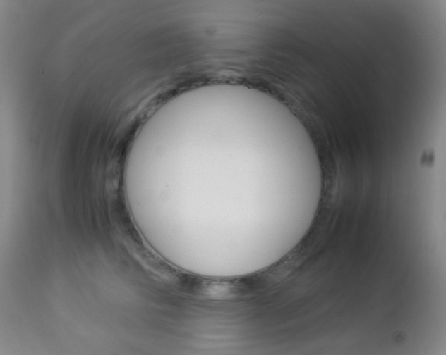 X0000112850710200908211031