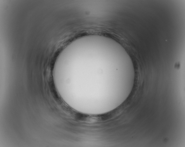 X0000112850711200908211031