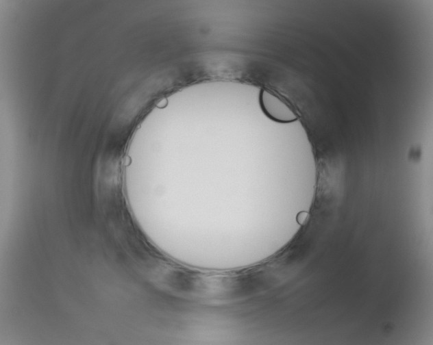 X0000112850713200908211031