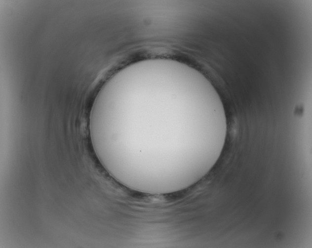 X0000112850715200908211031