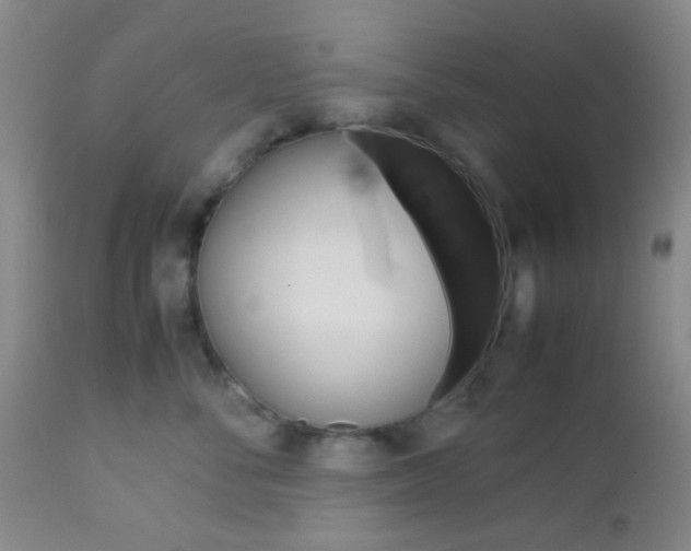 X0000112850716200908211031
