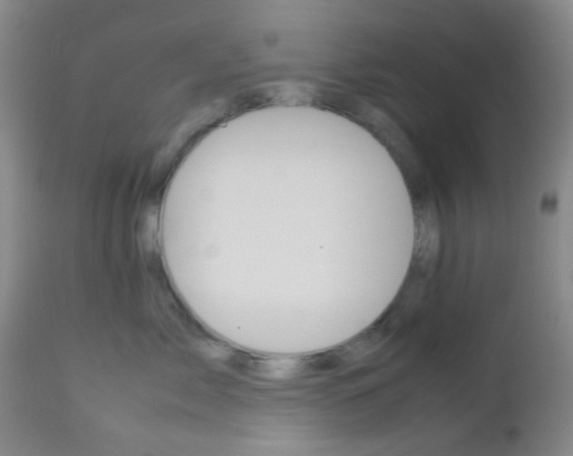X0000112850717200908211031