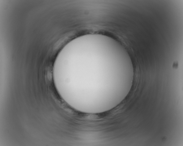 X0000112850719200908211031