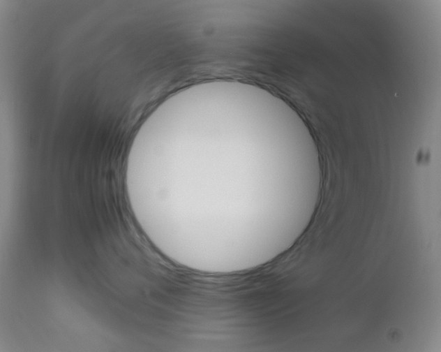 X0000112850720200908211031