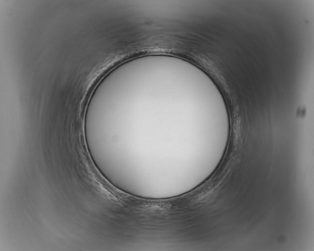 X0000112850721200908211030