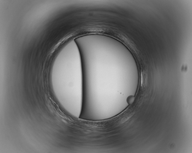 X0000112850723200908211030