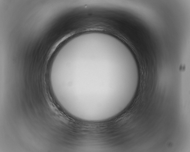 X0000112850724200908211030