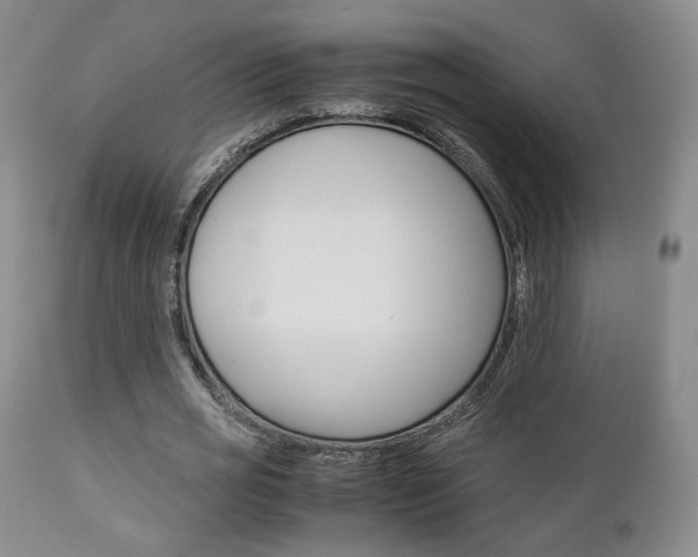 X0000112850725200908211030