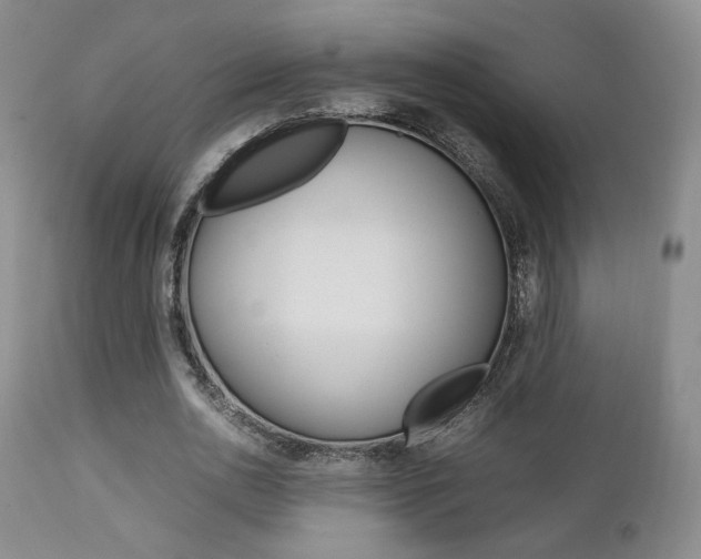 X0000112850726200908211030