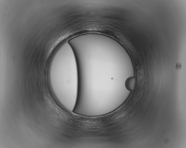 X0000112850727200908211030