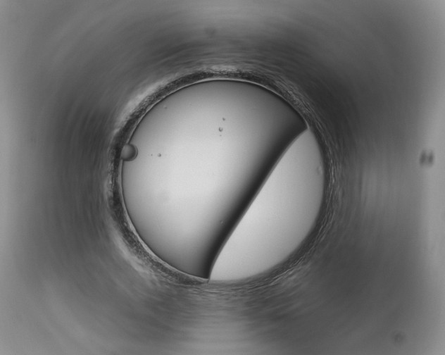 X0000112850728200908211030