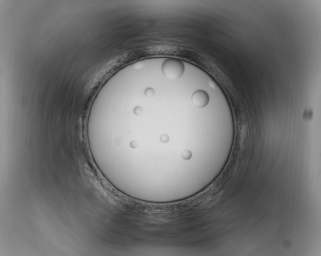 X0000112850729200908211030