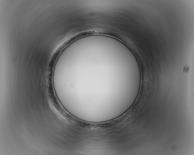 X0000112850730200908211030