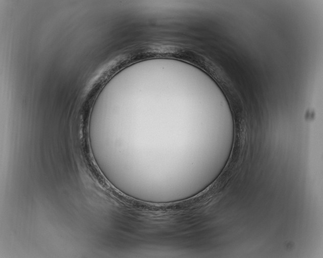 X0000112850731200908211030