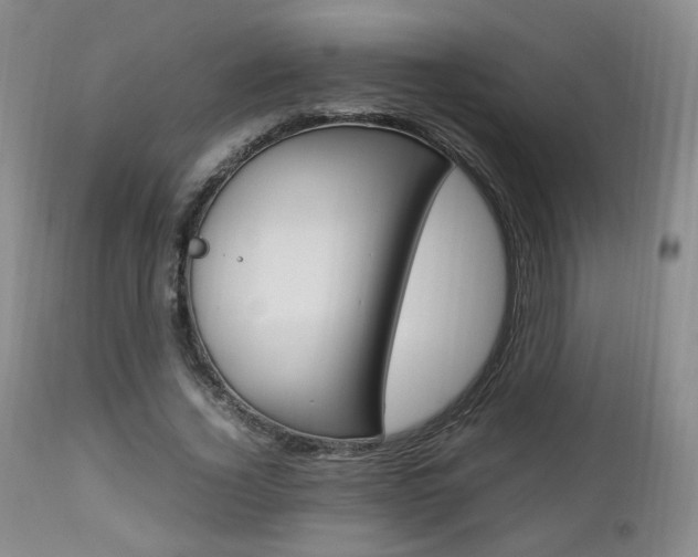X0000112850732200908211030