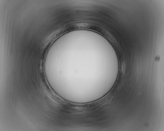 X0000112850733200908211030
