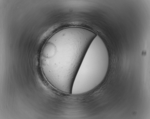X0000112850734200908211030