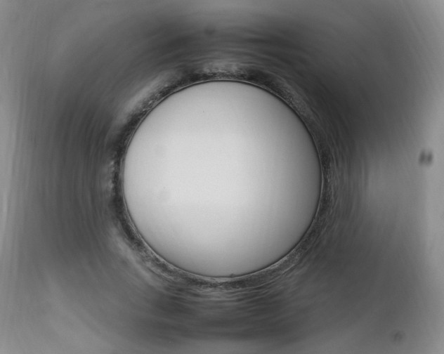 X0000112850735200908211030