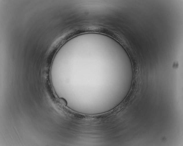 X0000112850736200908211030