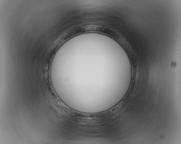 X0000112850737200908211030