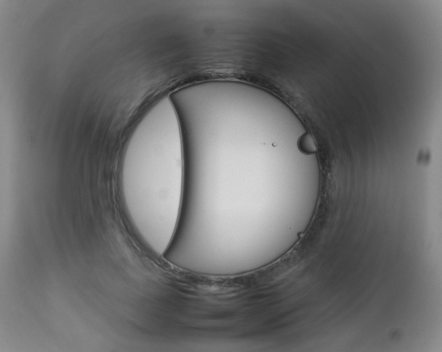 X0000112850739200908211030