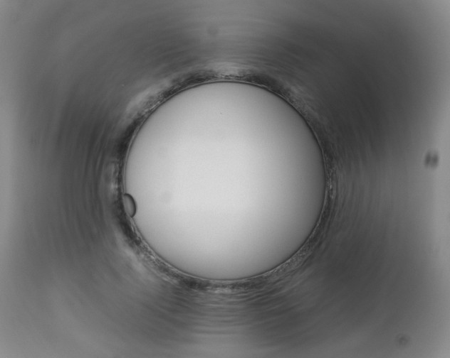 X0000112850740200908211030