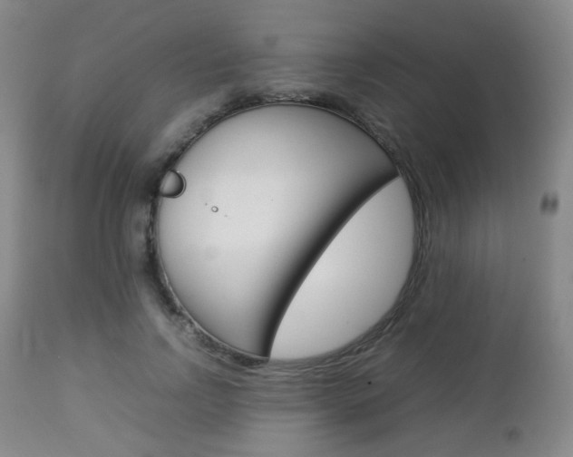 X0000112850742200908211030