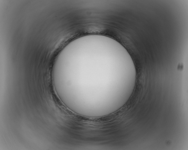 X0000112850743200908211030