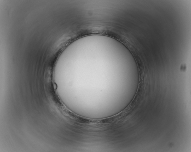 X0000112850744200908211030