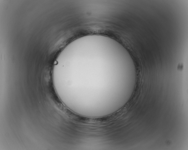 X0000112850746200908211030