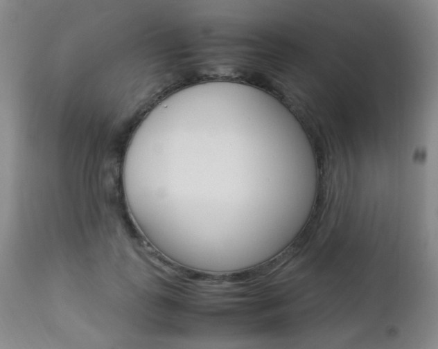 X0000112850747200908211030
