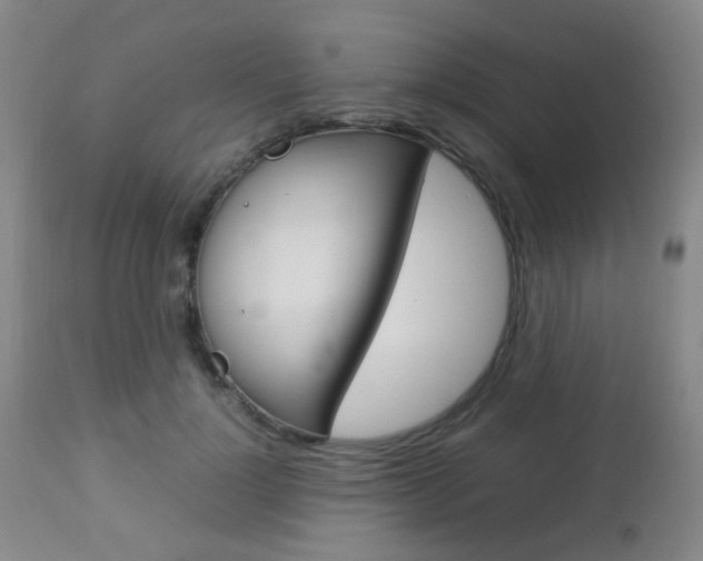 X0000112850748200908211030