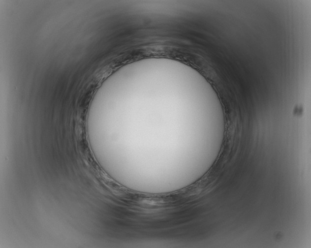 X0000112850749200908211030