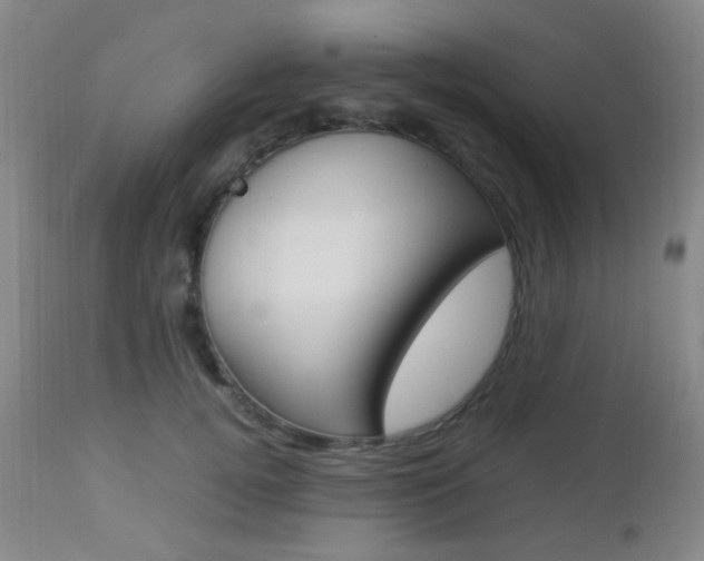 X0000112850752200908211030
