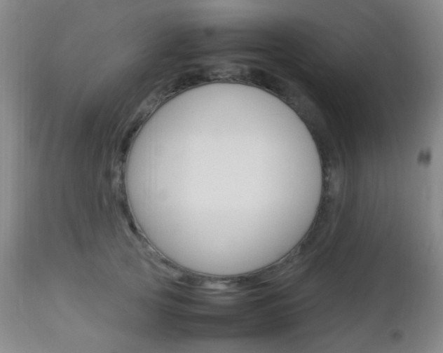 X0000112850753200908211031