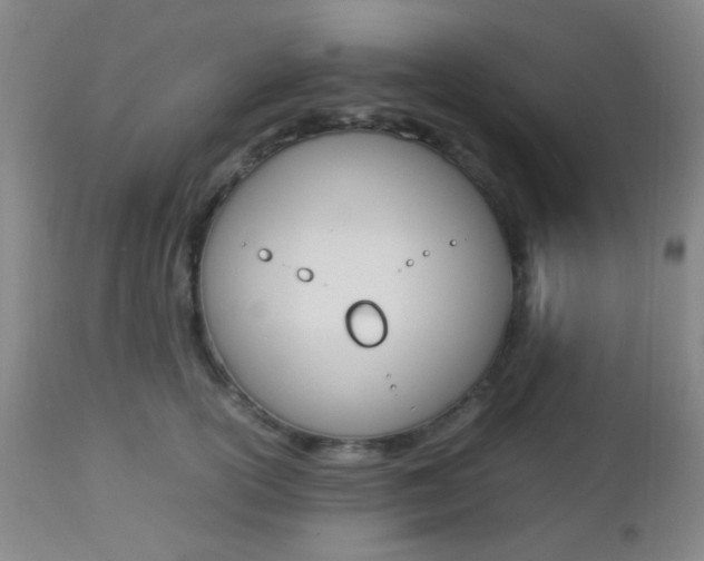 X0000112850754200908211031