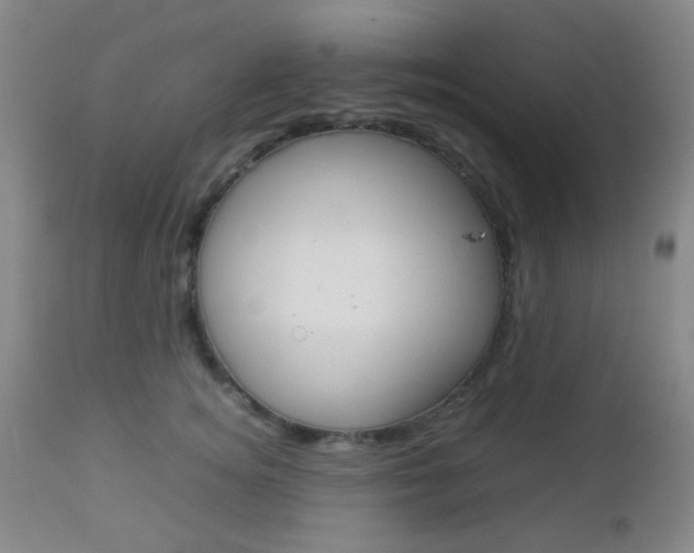 X0000112850756200908211031