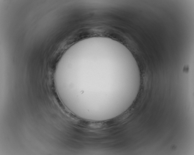 X0000112850757200908211031
