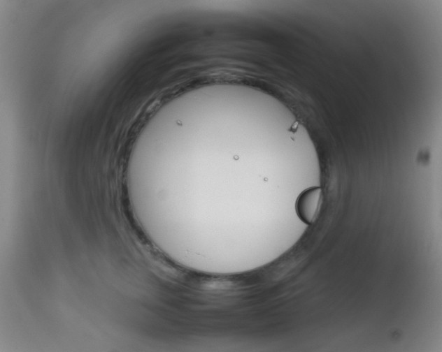 X0000112850759200908211031