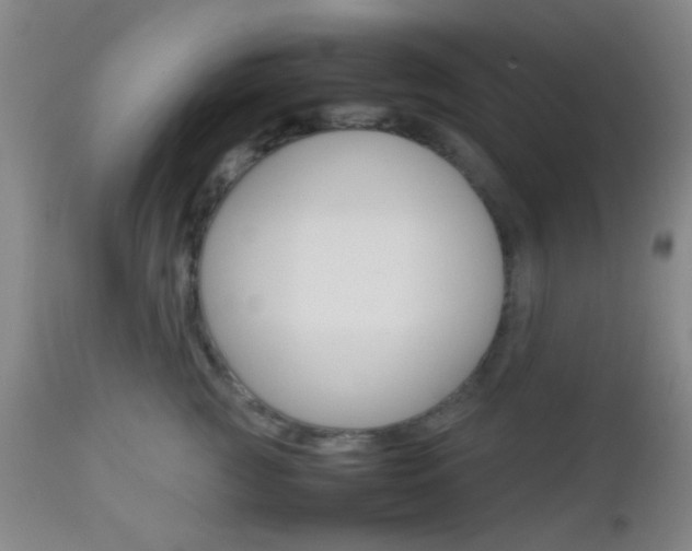 X0000112850761200908211031