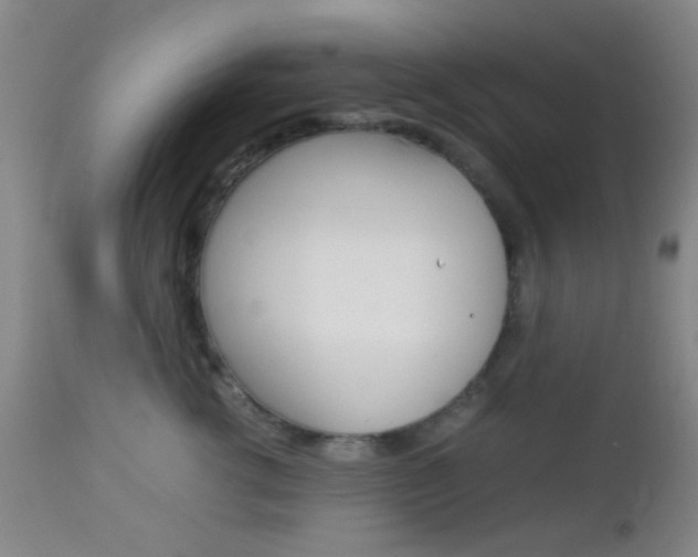 X0000112850762200908211031