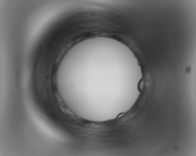 X0000112850763200908211031