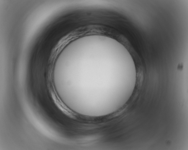 X0000112850765200908211031