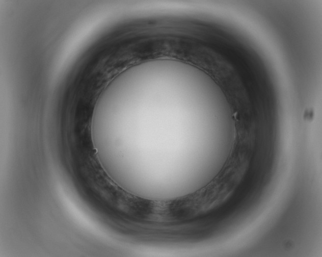 X0000112850766200908211031