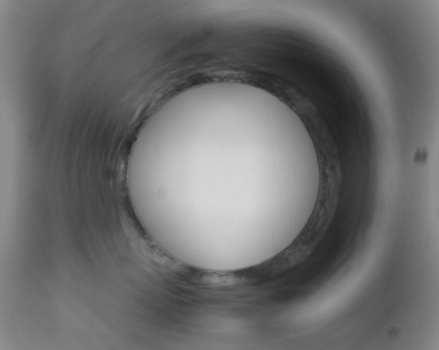 X0000112850767200908211031