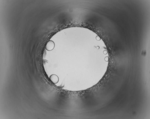X0000112850769200908211030