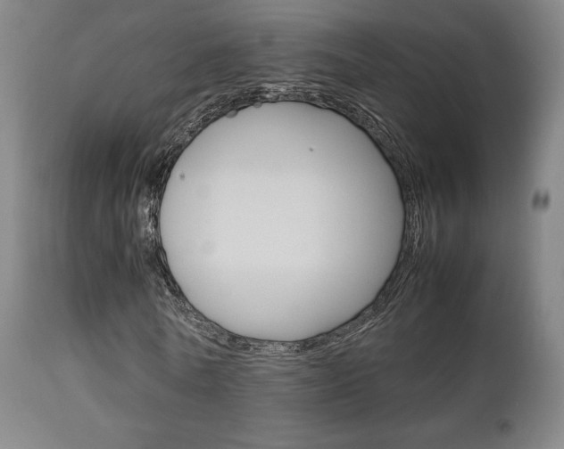X0000112850770200908211030