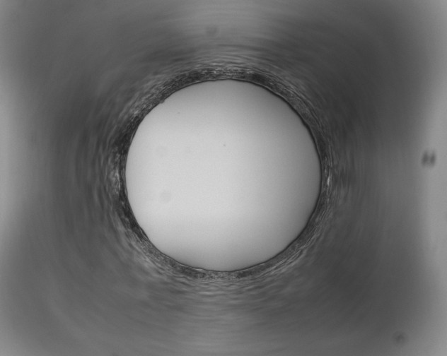 X0000112850771200908211030