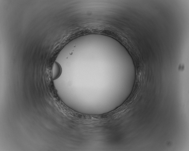 X0000112850772200908211030