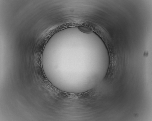 X0000112850773200908211030
